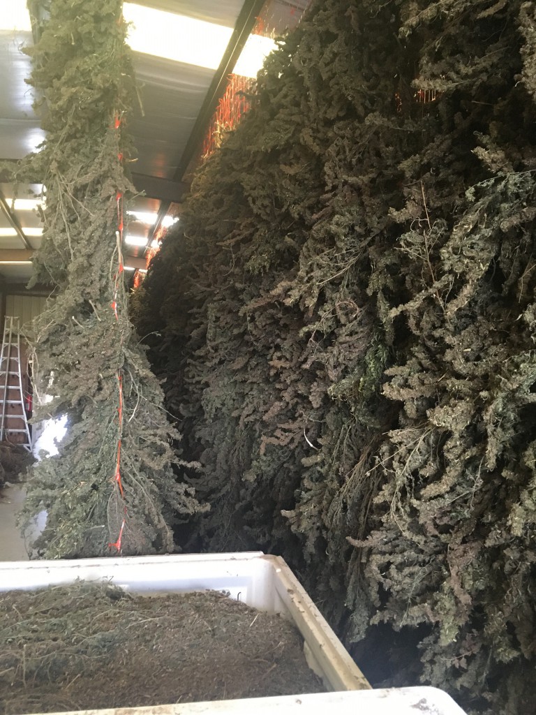 Drying